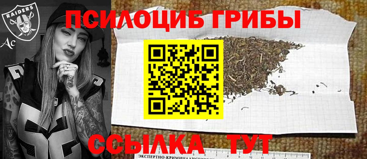 Новокуйбышевск  купить наркоту  Галлюциногенные грибы Cubensis  Вход с VPN  Галлюциногенные грибы прущие грибы 